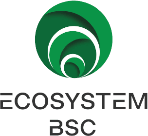 Logo - Ecosystem BSC