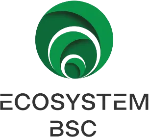 Logo-Ecosystem-BSC-NO-SPACE-2.png